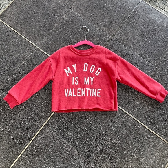 Grayson Threads Fleece Red W/Hearts Jogger Pant/Sweatshirt Set. Size XS (4/5) - Picture 13 of 16